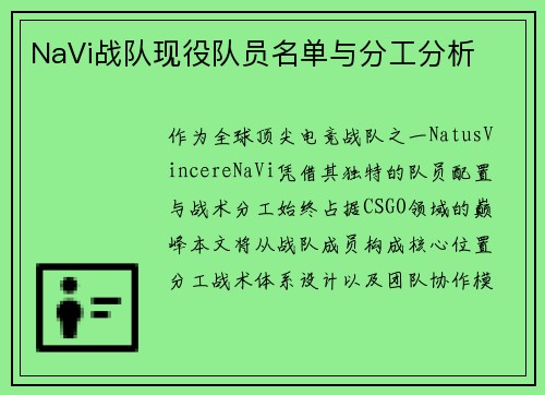 NaVi战队现役队员名单与分工分析