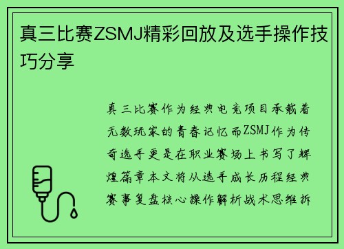 真三比赛ZSMJ精彩回放及选手操作技巧分享